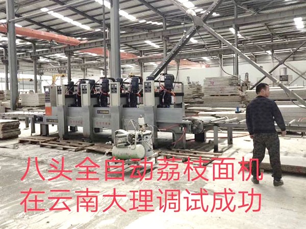 Fengze eight-head automatic lychee noodle machine was successfully debuggled in Dali, Yunnan province